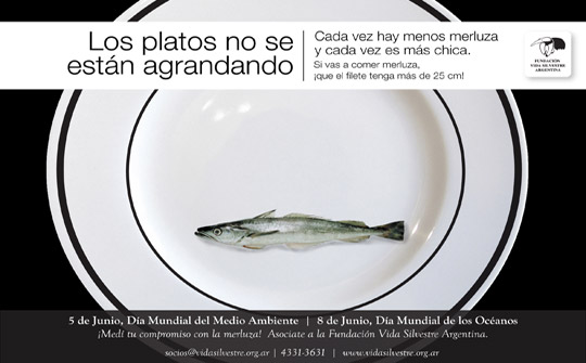 Aviso merluza