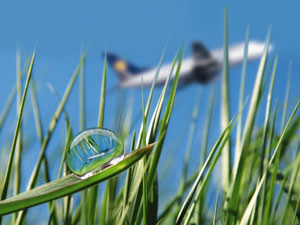 Lufthansa