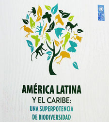 Informe PNUD Informe PNUD