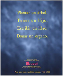 Campaña Plantar un árbol Campaña Plantar un árbol